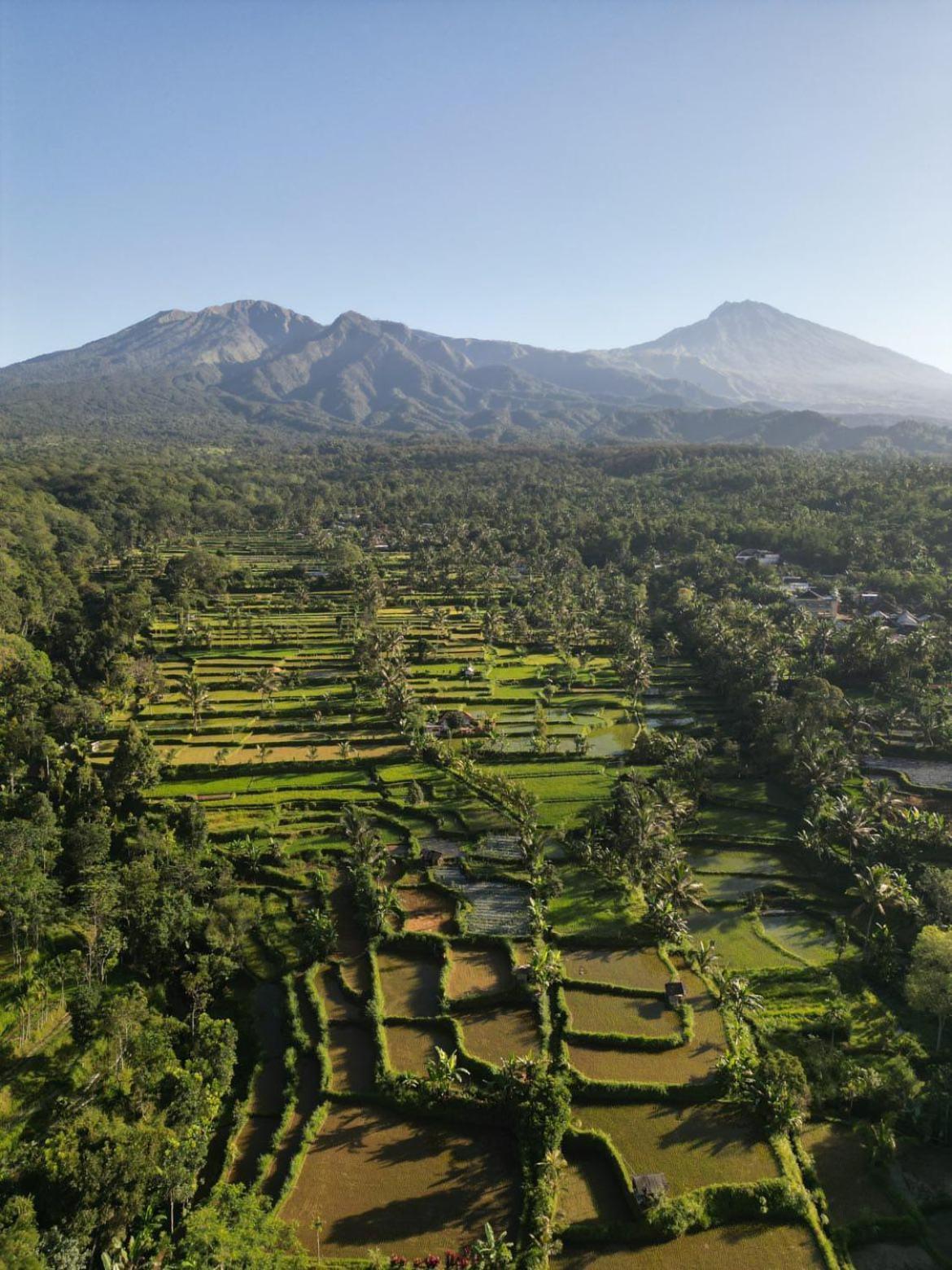 Hotel Tetebatu Fullmoon Exterior foto